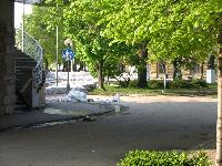 2006.04.24. - 1004 cm - 21.jpg